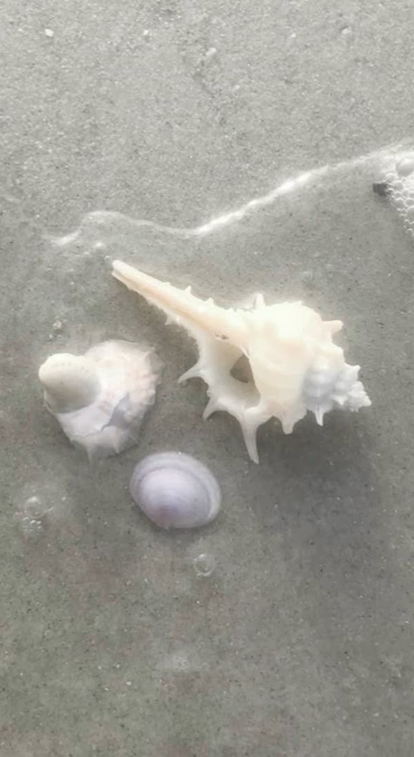 𝘩𝘰𝘵 𝘰𝘶𝘵𝘴𝘪𝘥𝘦?