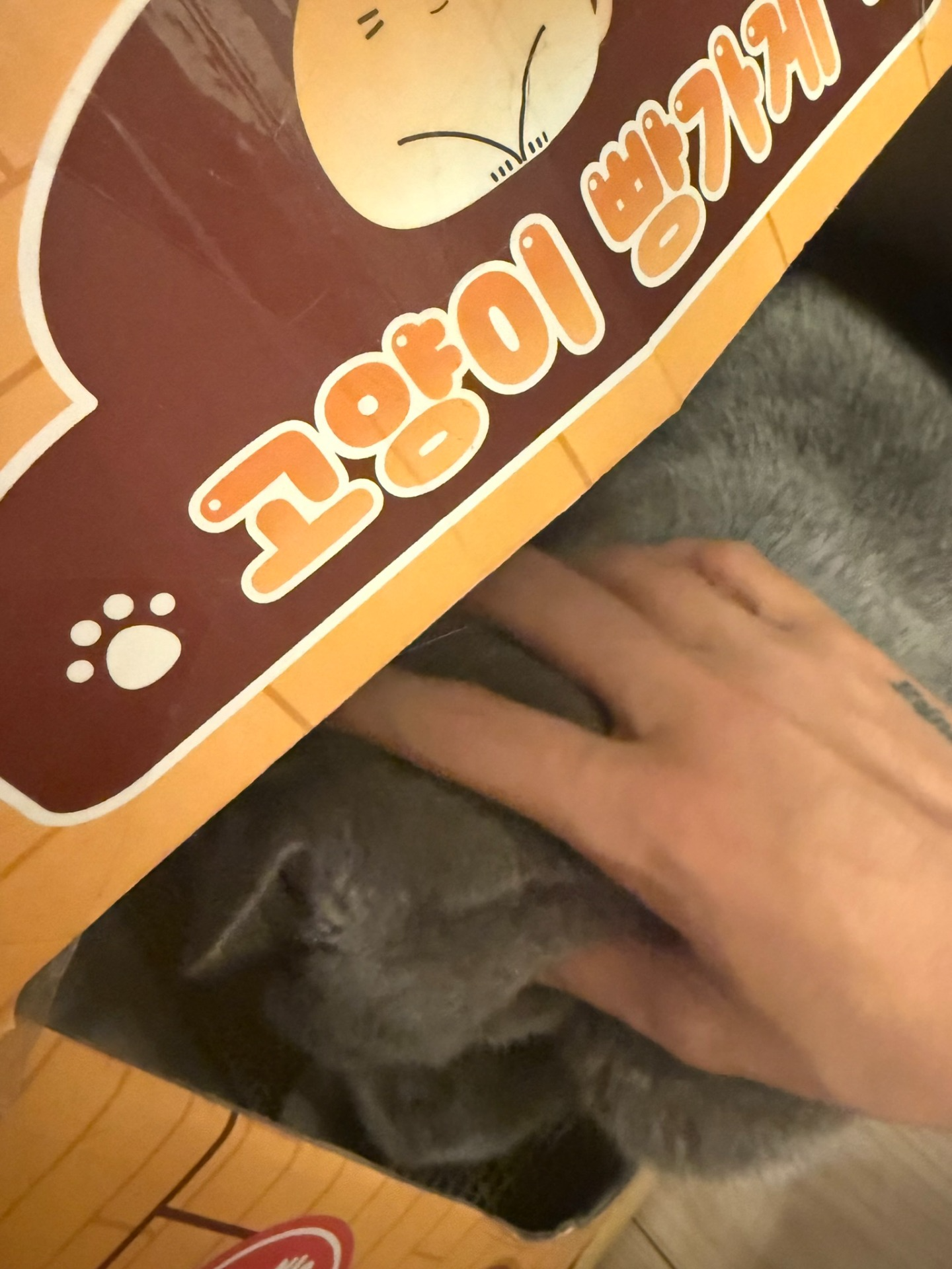 ㅍㅇㄴ