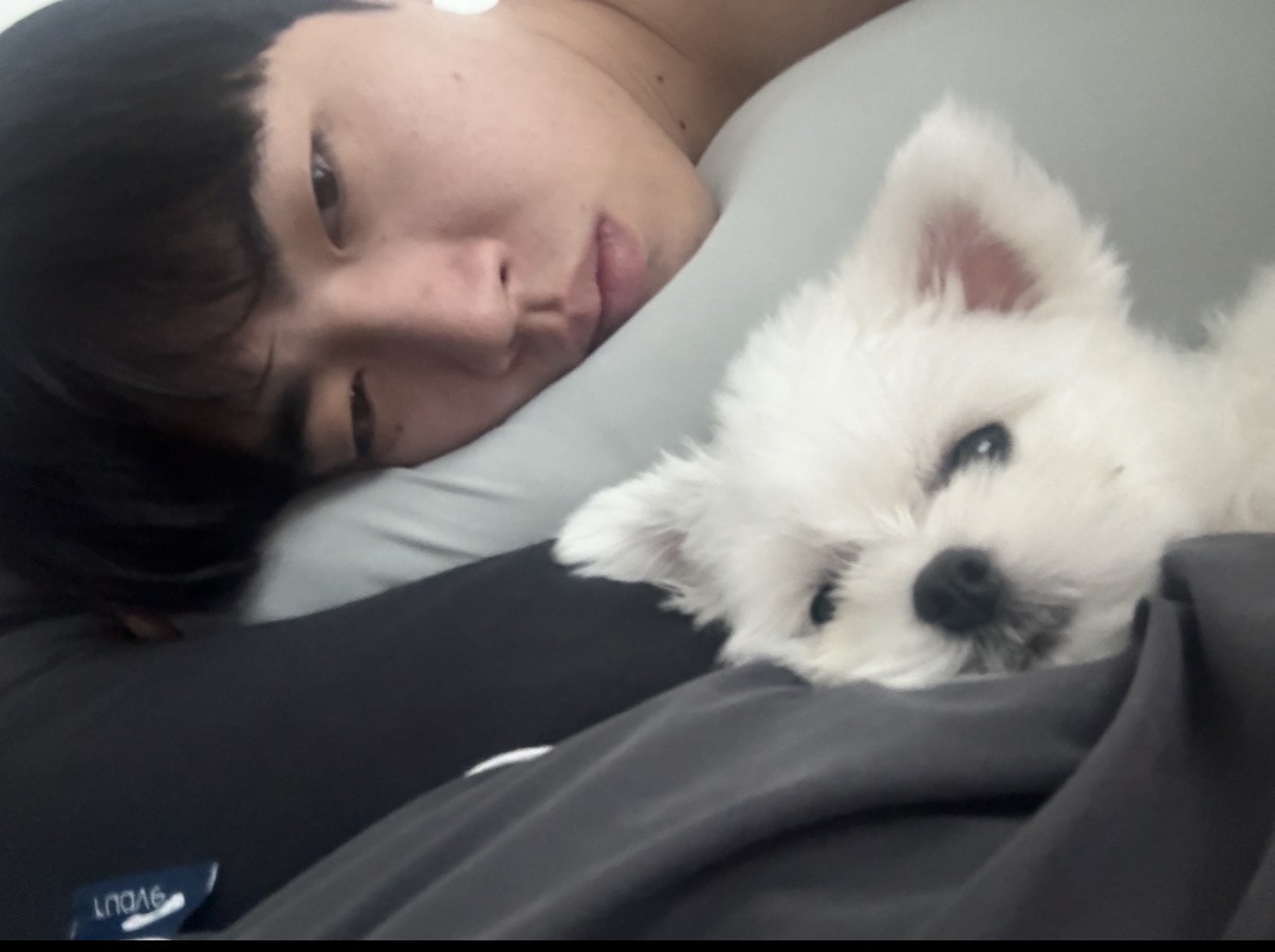 편지함 궁금한거 적어바 ㄱㄱ