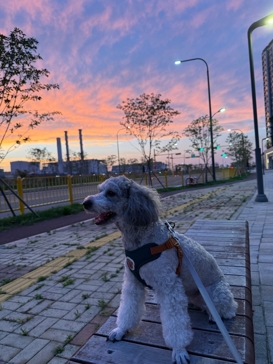 # 호랑이 쉬어요
