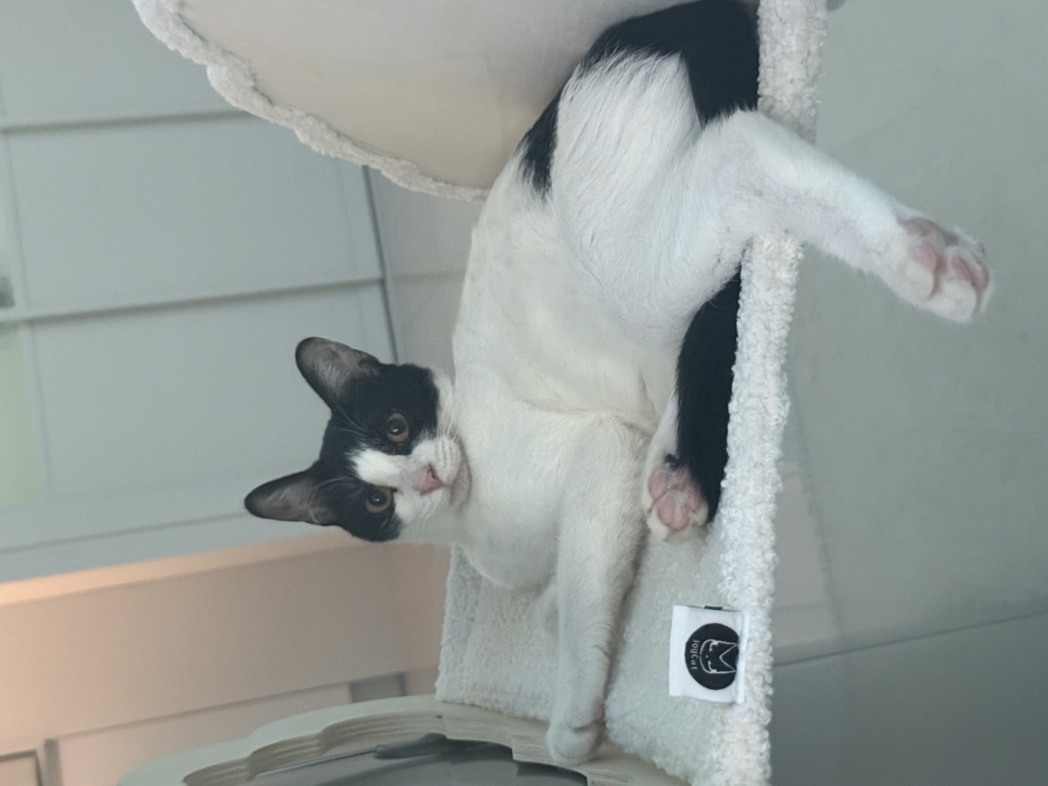 좋은 밤 좋은 꿈