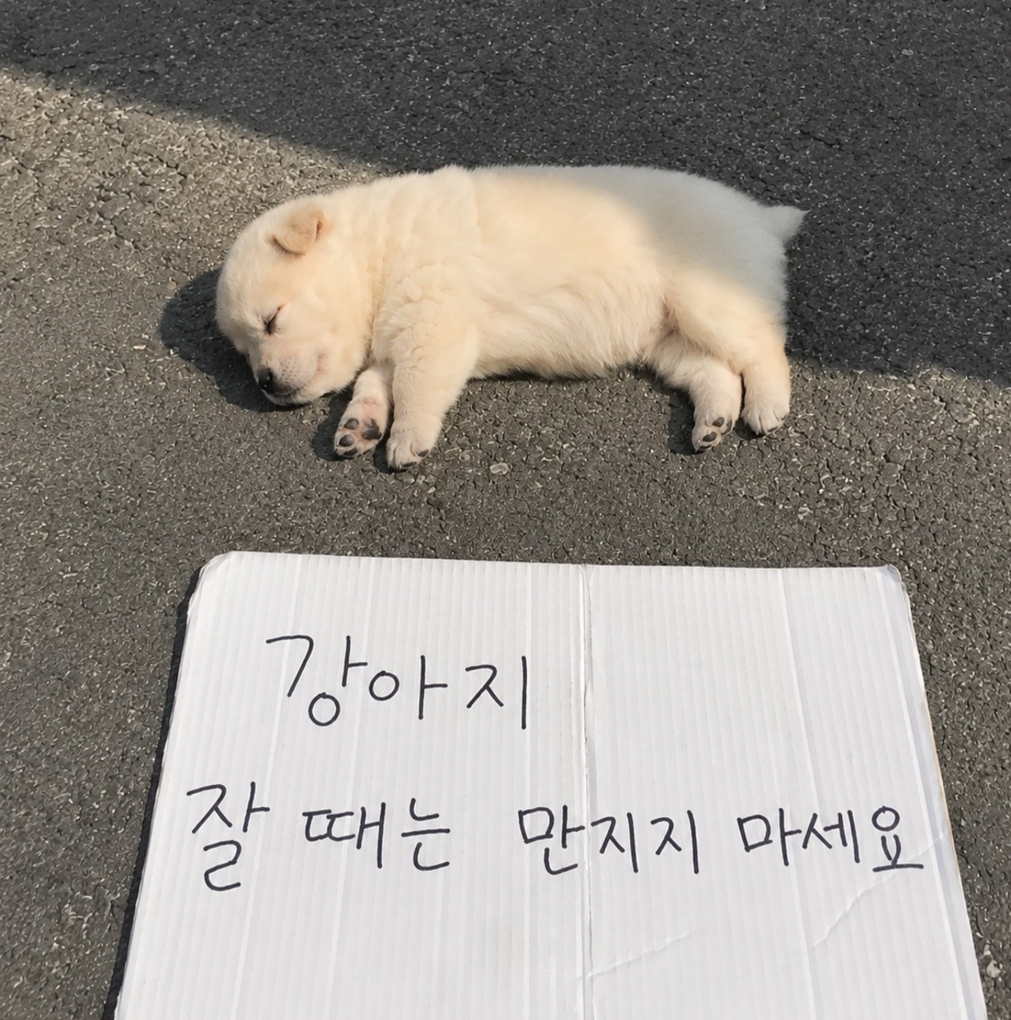 짧방!!! [ 잔잔 ]