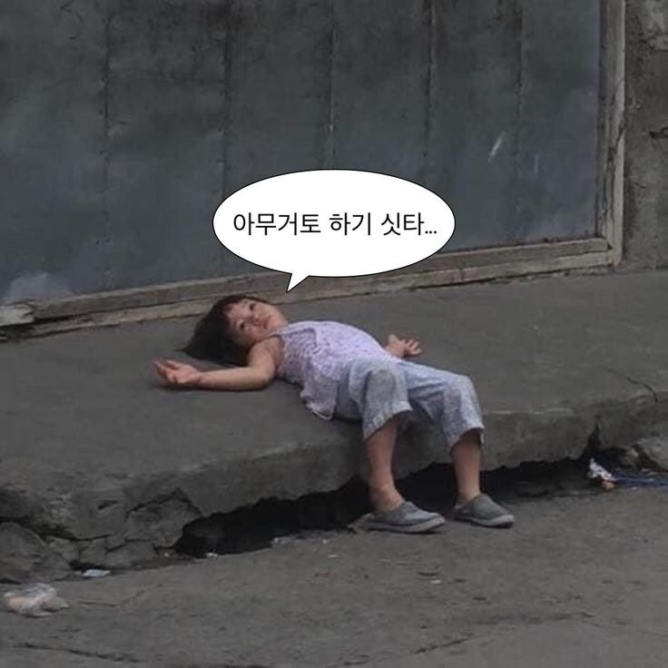 저음질 라이브