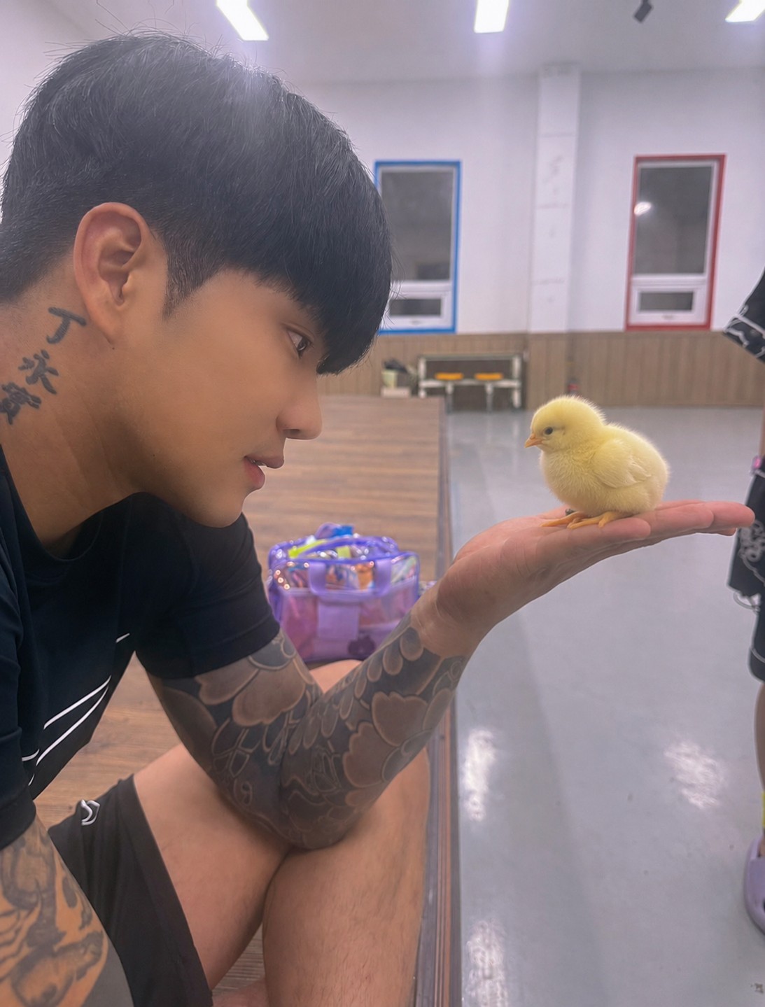 #병아리 시무룩