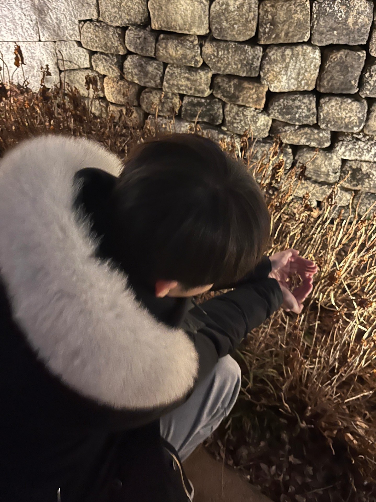 룰렛 20