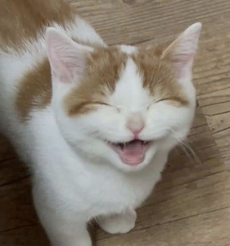 겸손한 초이스방송 어서오세요🙇♂️