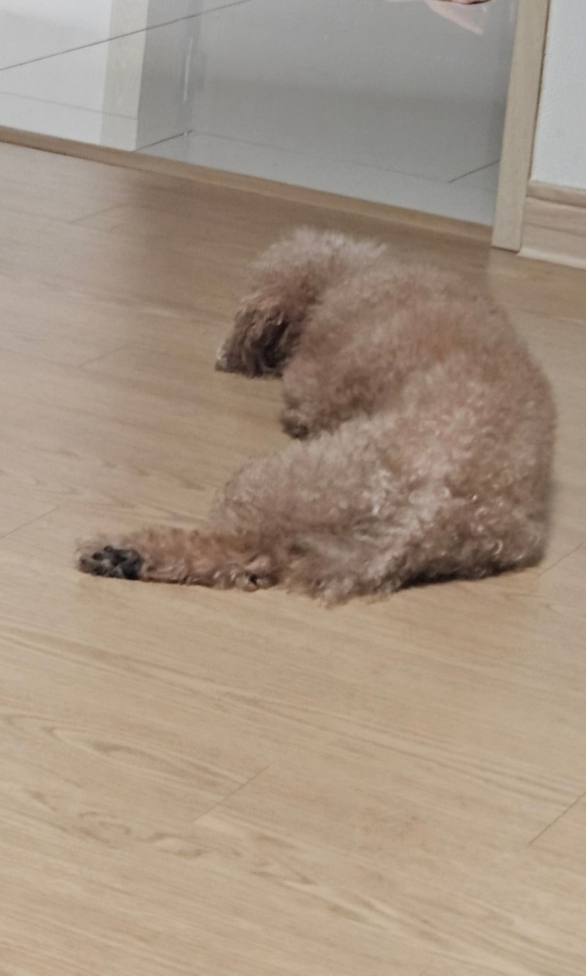 잉 ㅇㅇ잉이야 애들아 있잖아