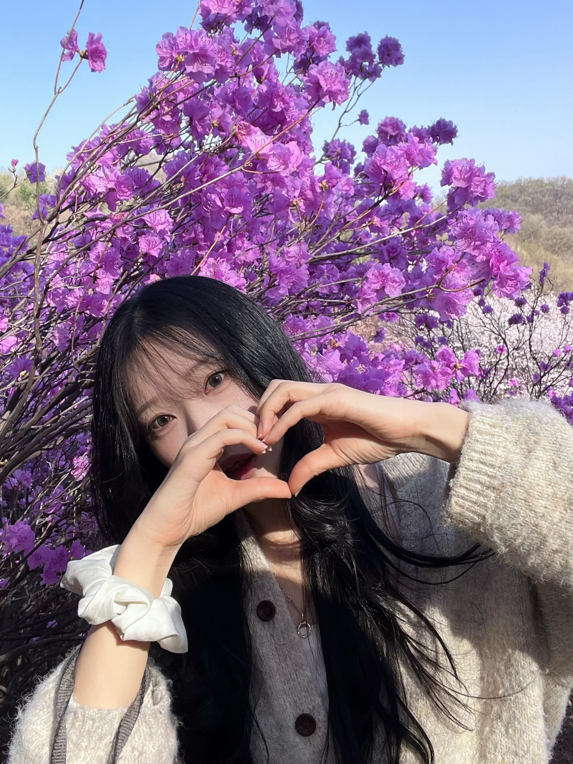 ㅤㅤㅤ