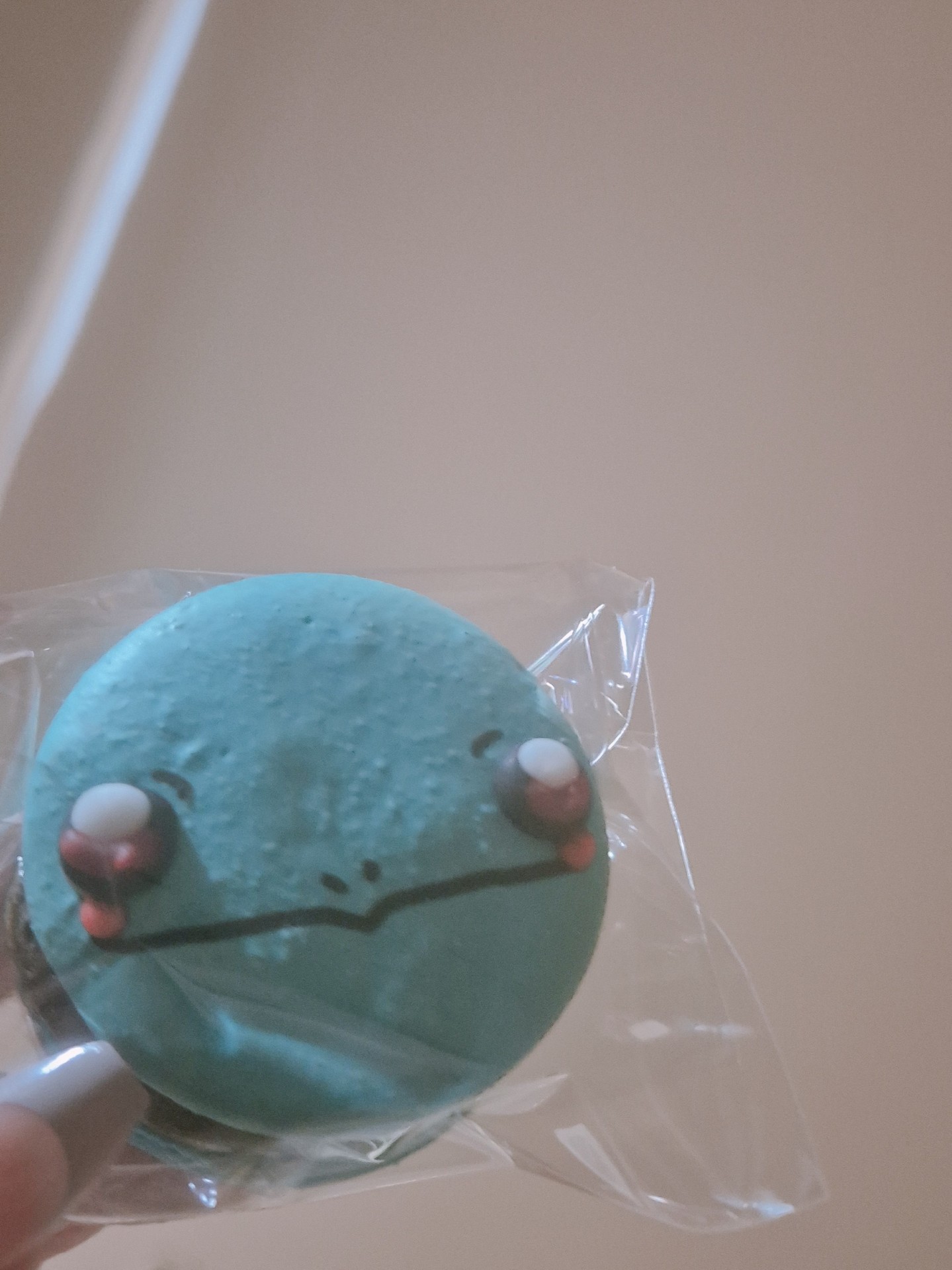 진짜 잠방