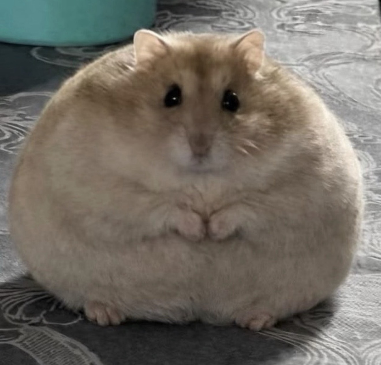 죽기 1초전