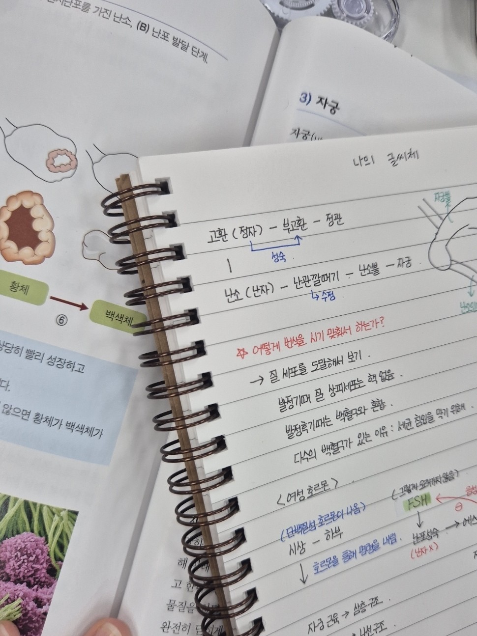 여보세요