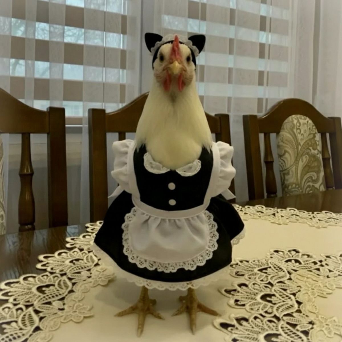 >>진짜 안 잘 거임<<