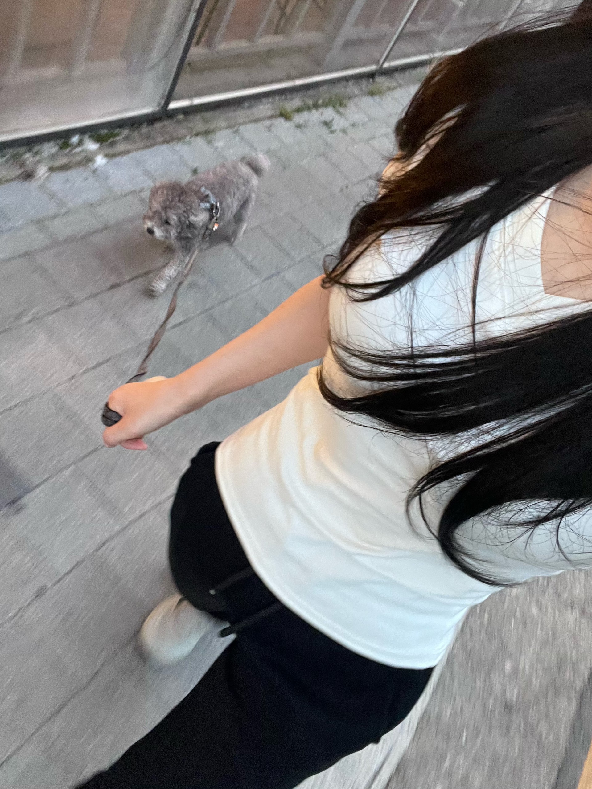ㅤㅤㅤ
