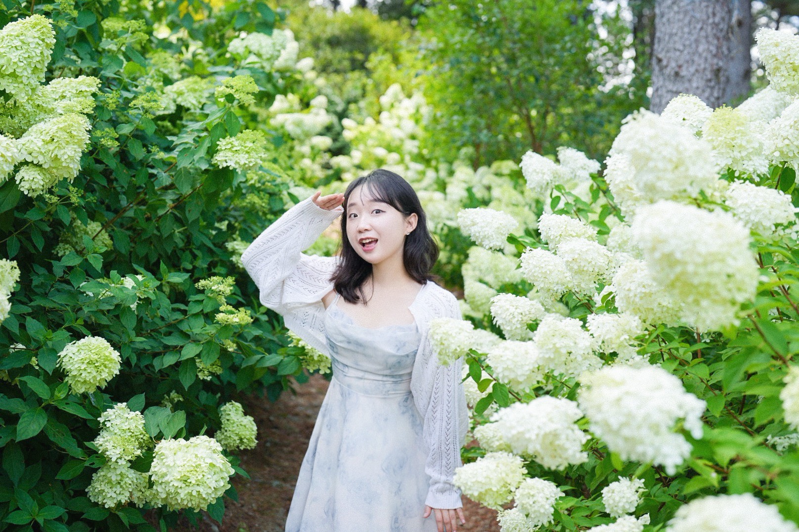 편안하게,