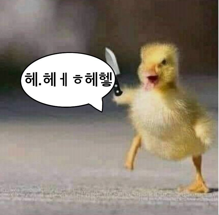 플리) 1시간