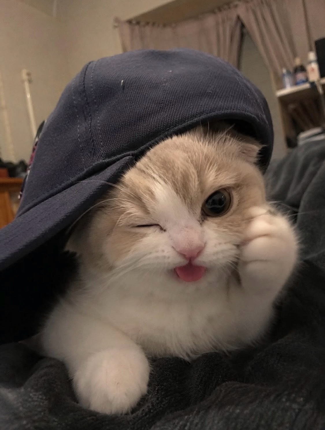 와죠..