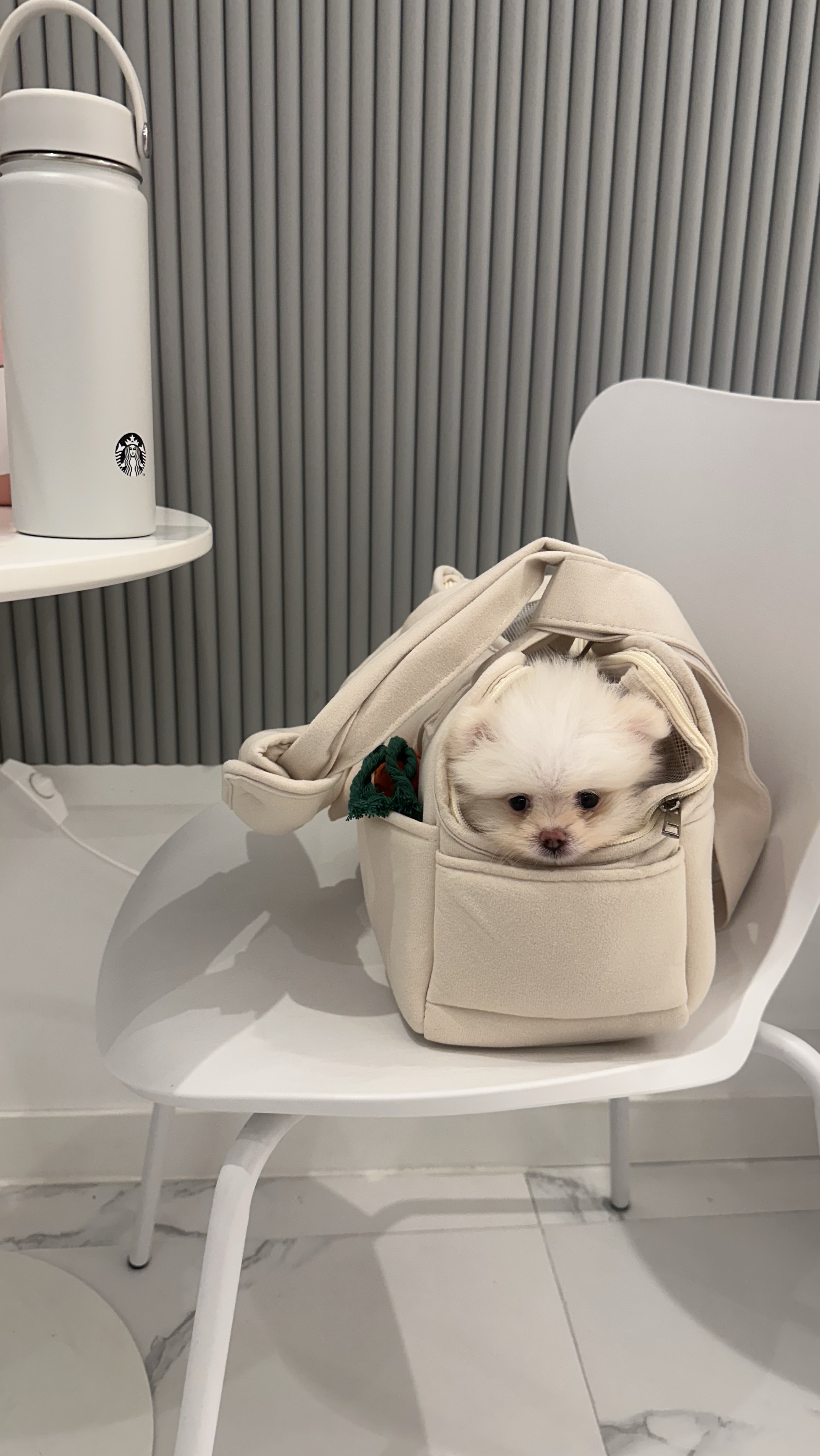 좋은 느낌을 줌