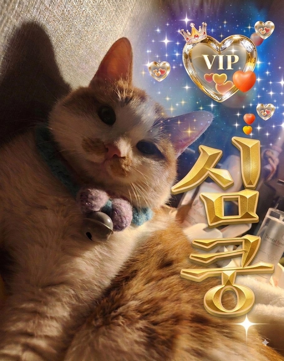 [잔잔🫧 ]