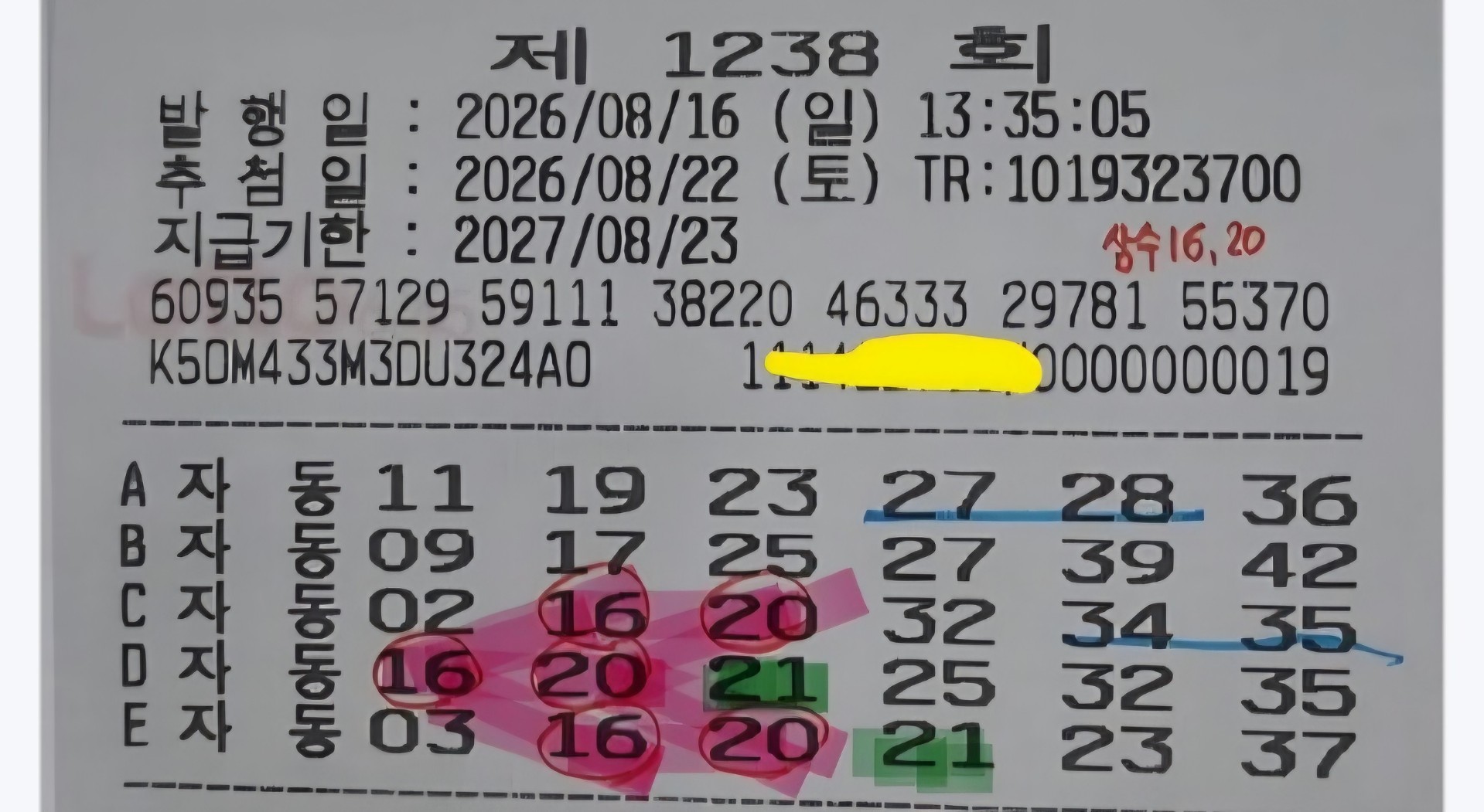 [ 엔찌 방송권🫧 ]