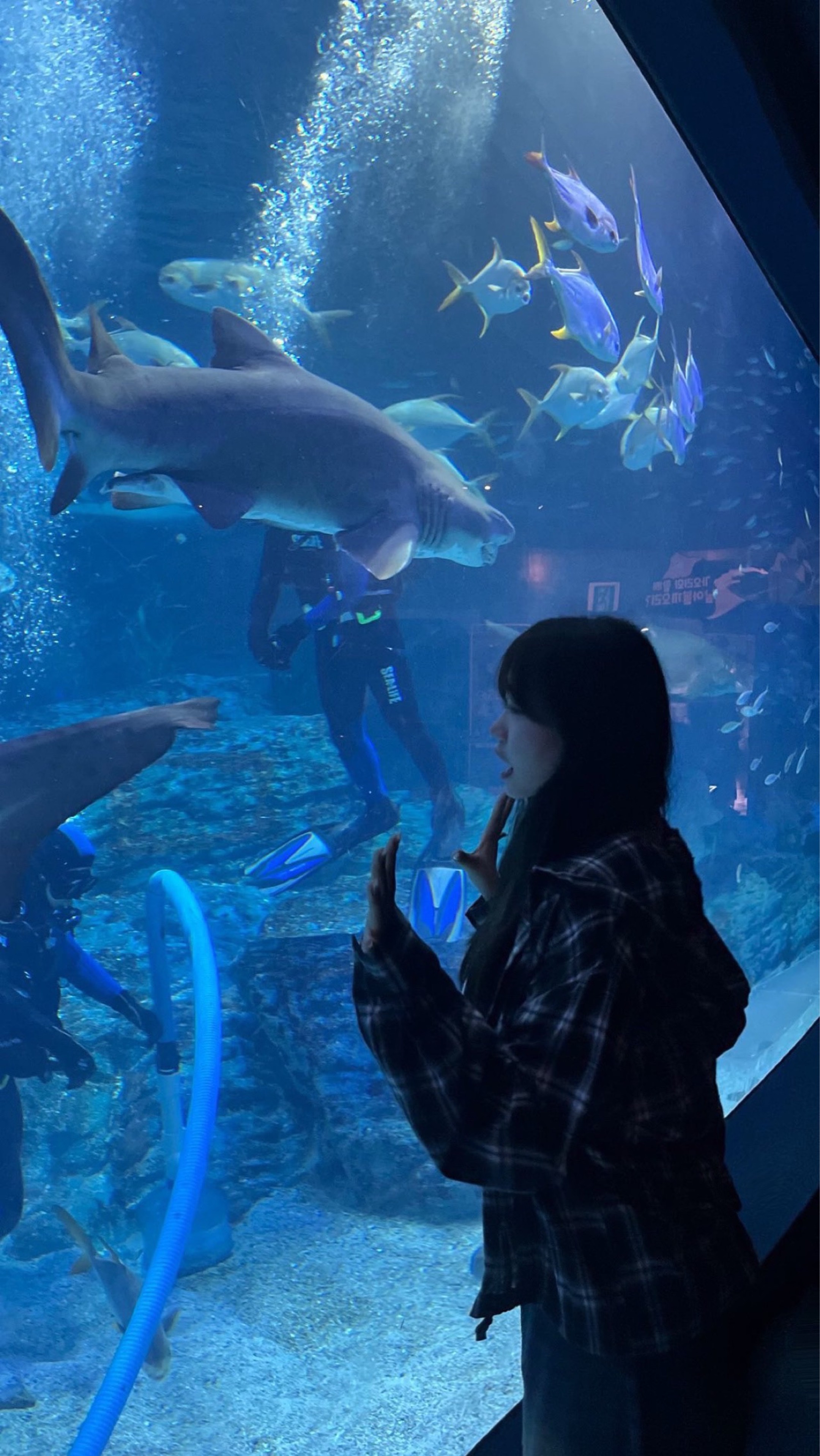 귀여움 과다주의 ♡