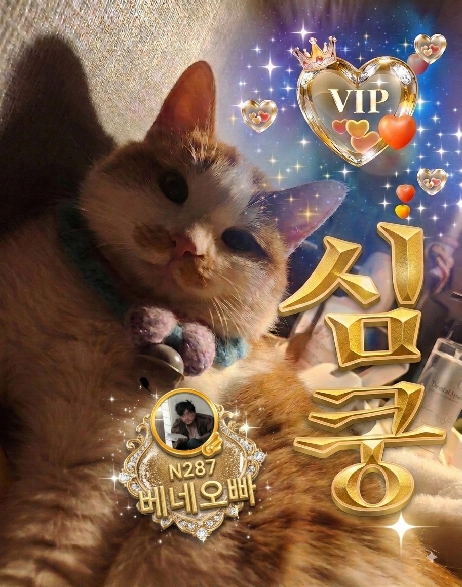 [ 엔찌 방송권🫧 ]