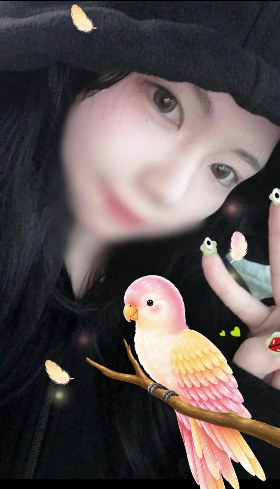 핑핑이들 모여라!