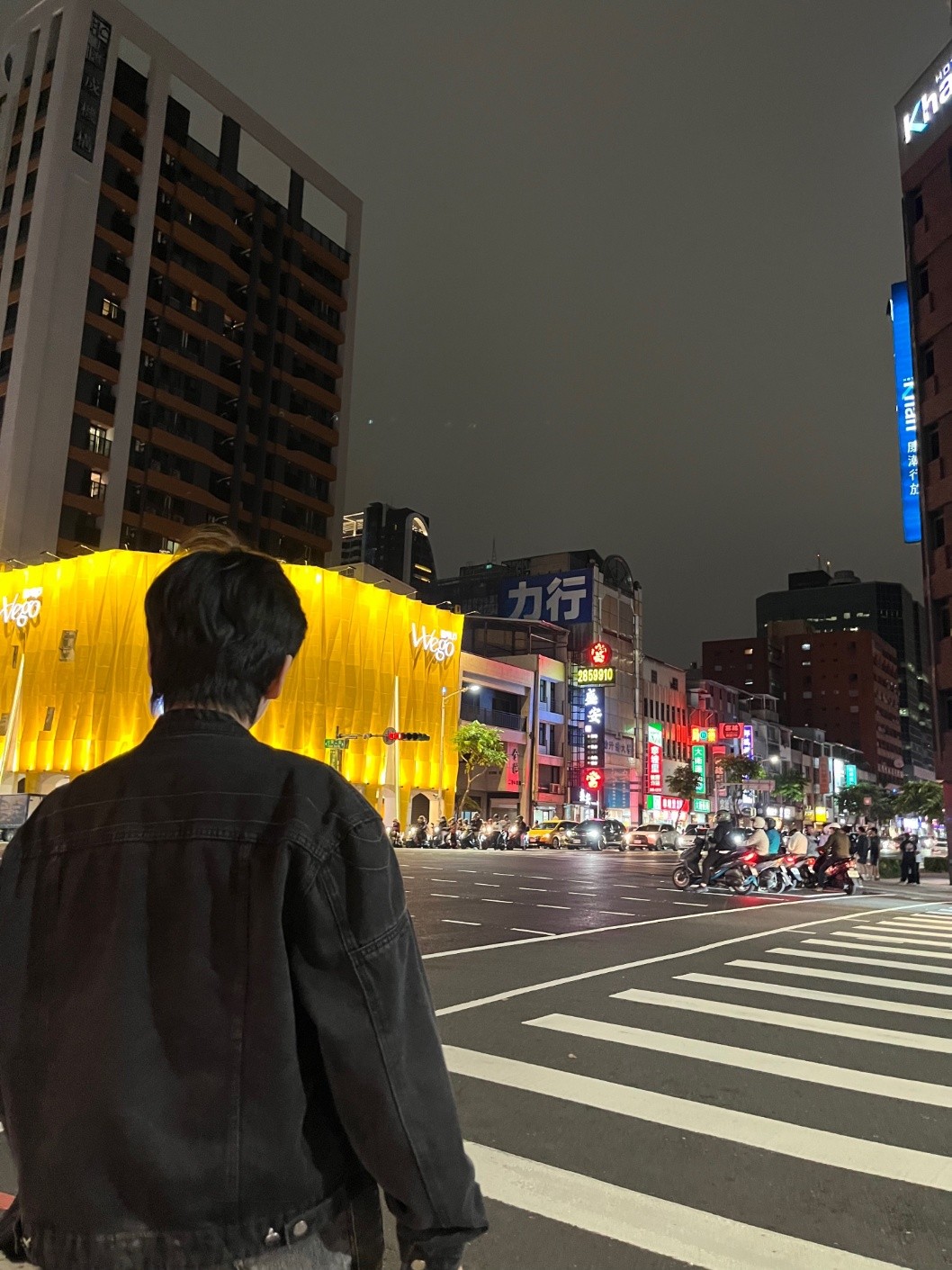🌳모여봐요 , 사랑의 숲 🩷