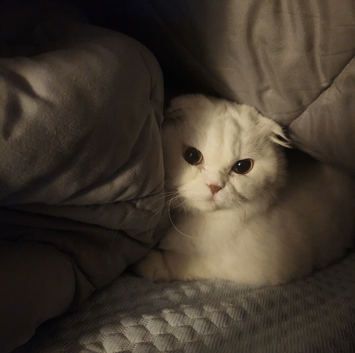 자고 싶은데 잠이 오질 않나요?