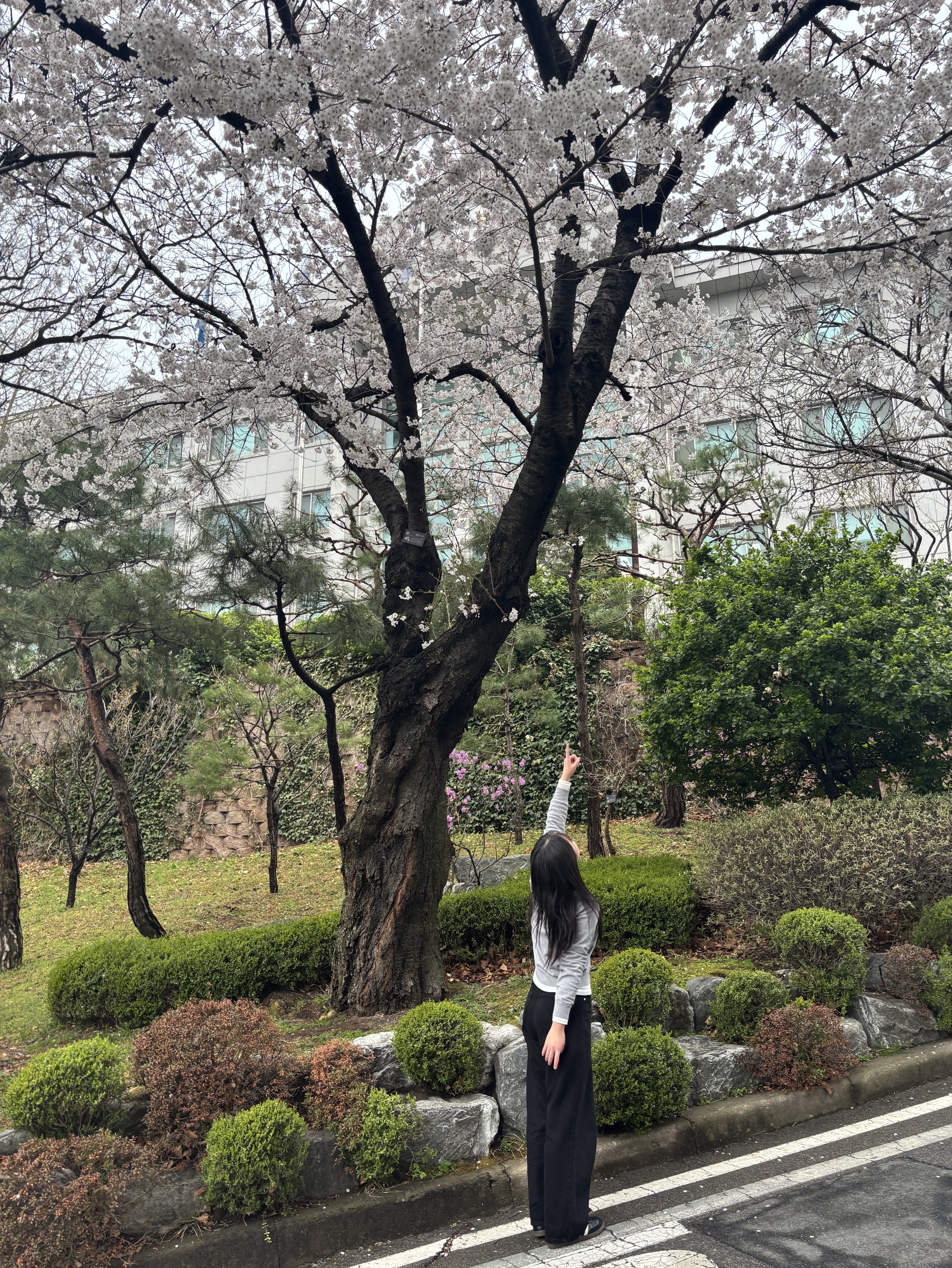 점메추 좀 해주세요