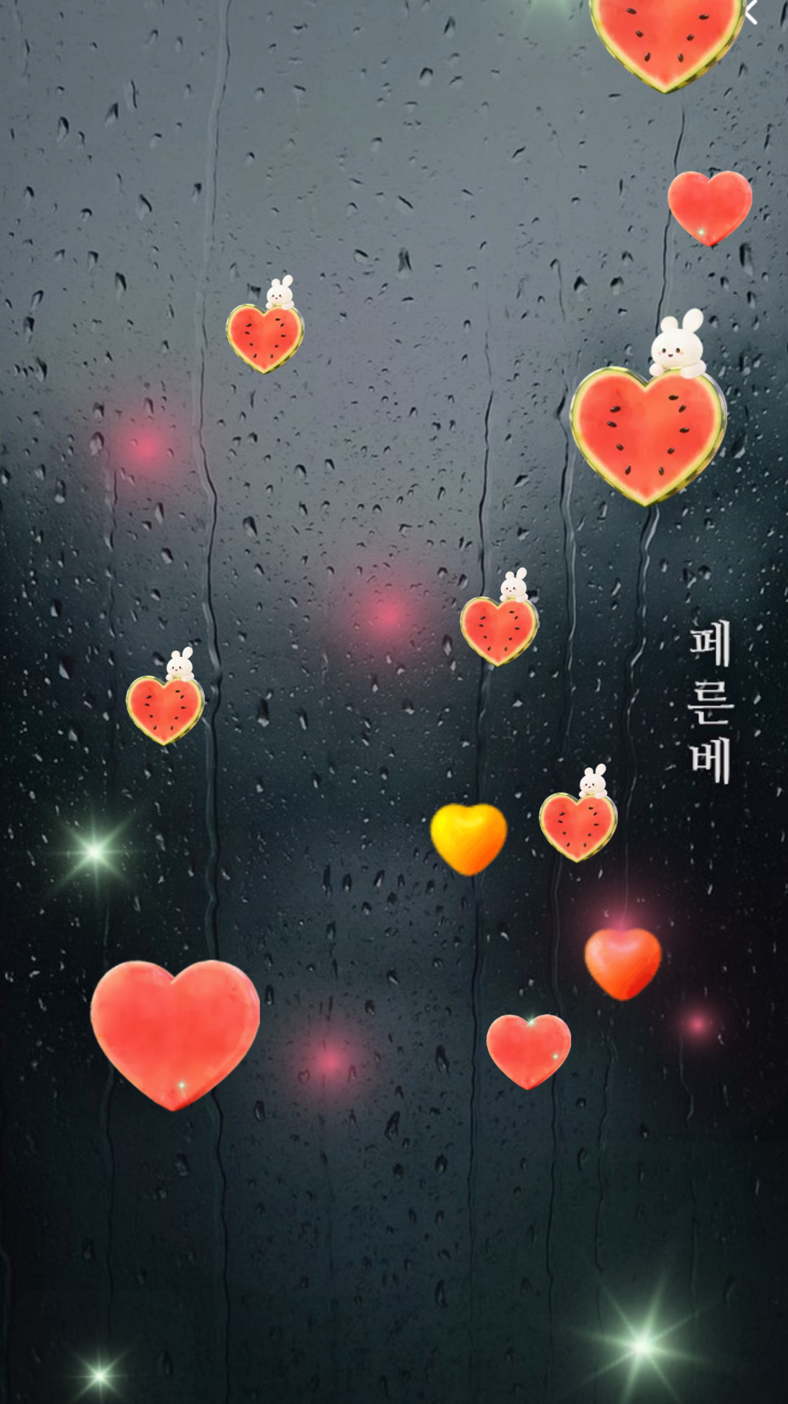 묘운☁️°⊹ 뜻밖의 서점 📖