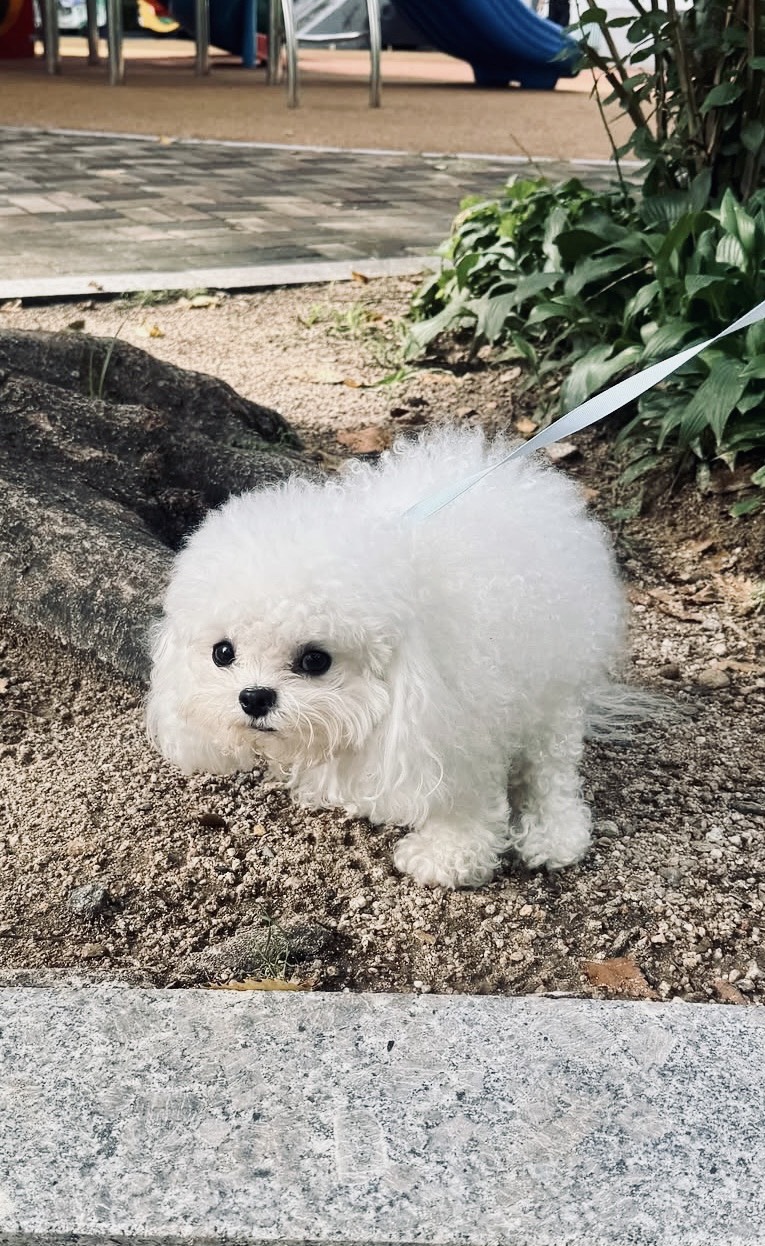 해가 떴지만 잠이 부족한가요?