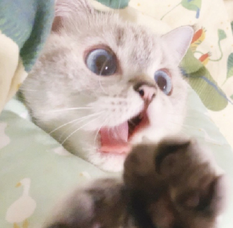 해가 떴지만 잠이 부족한가요?