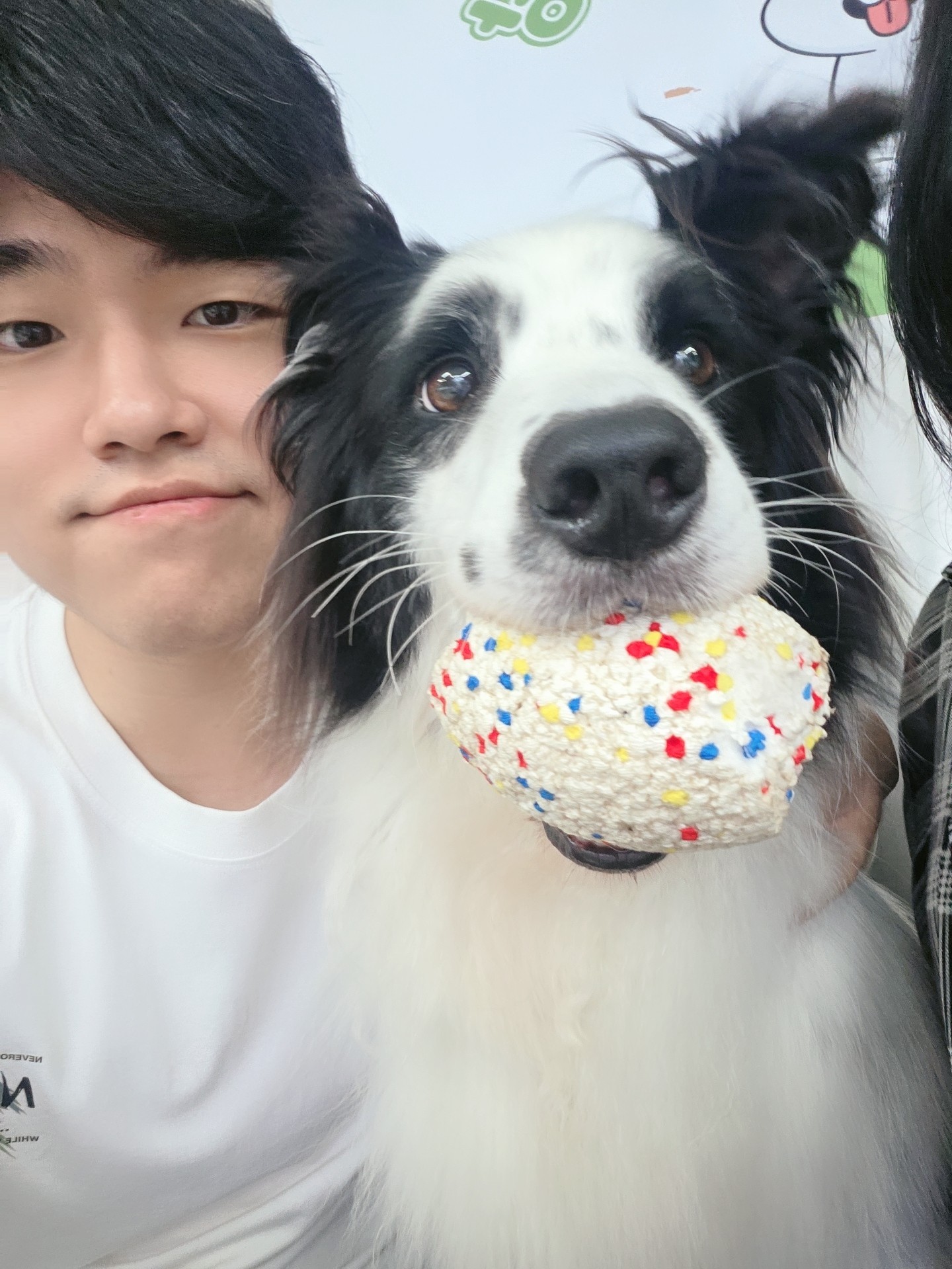 애견카페에서 힐링중