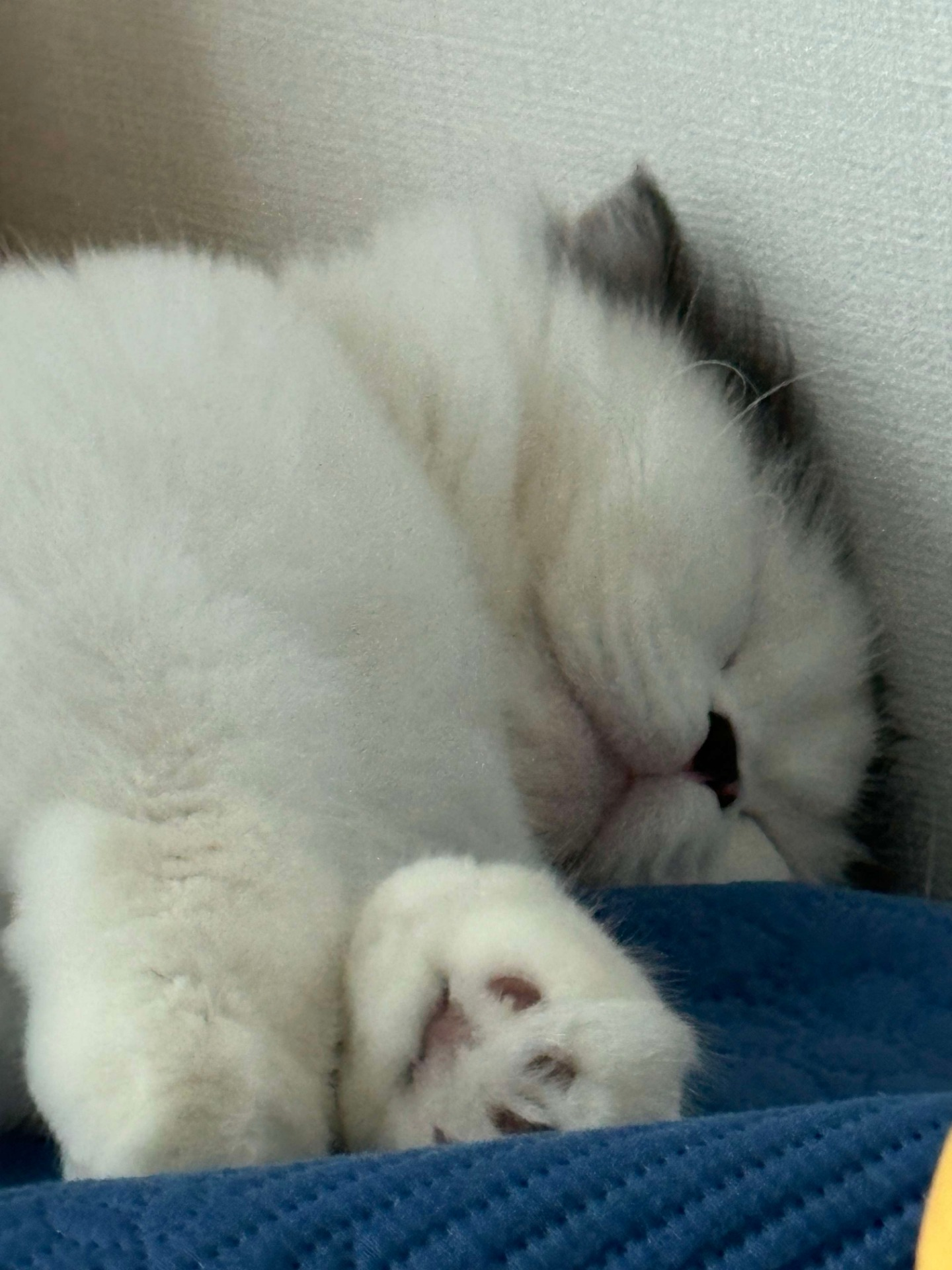 낮이잖아요 ,