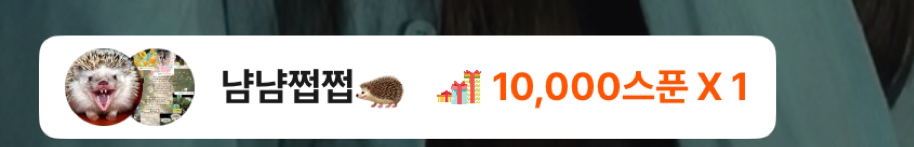 이 시간 신입