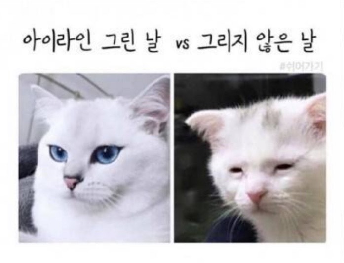 진짜 잠시만