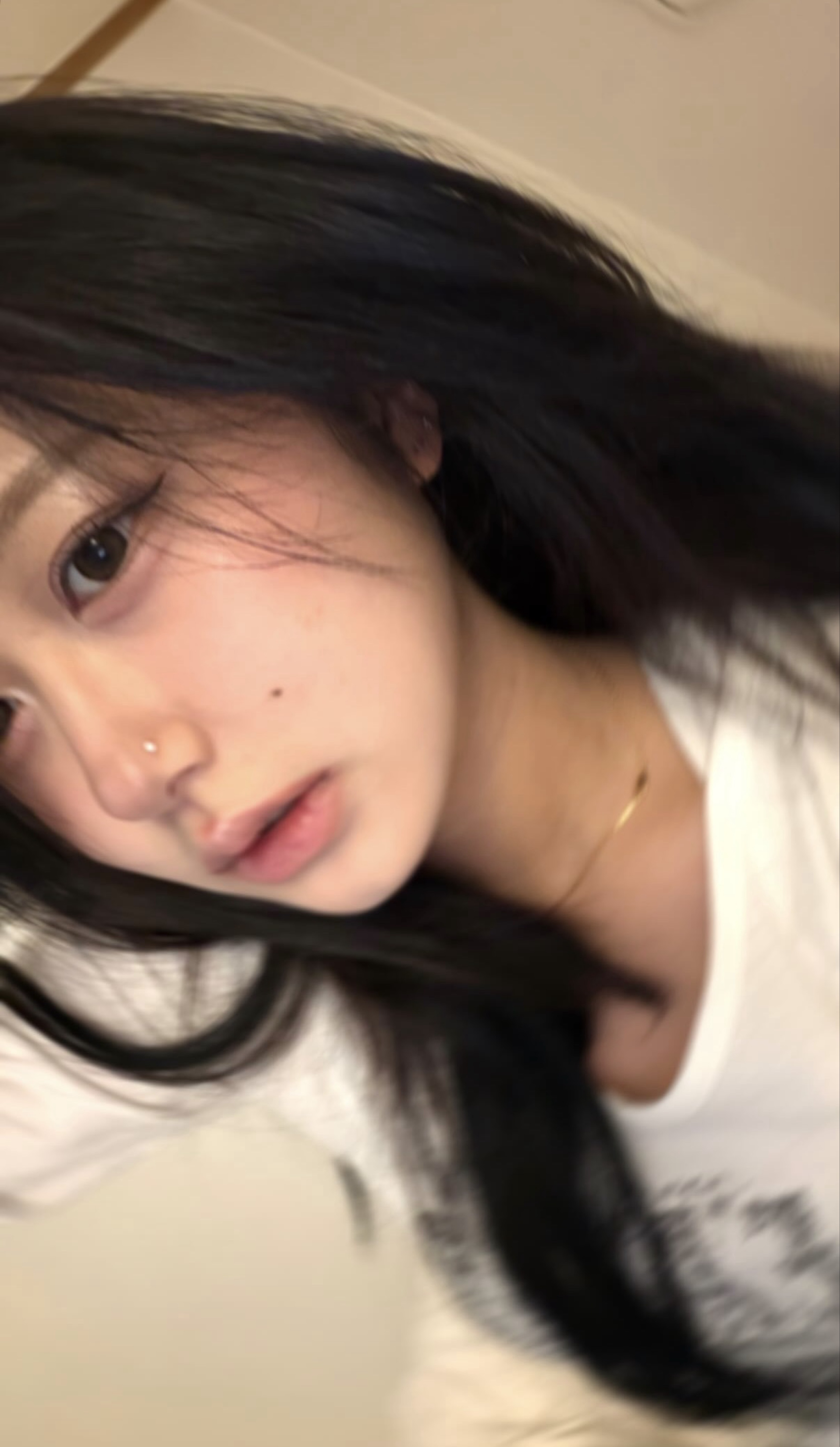 양지입니다