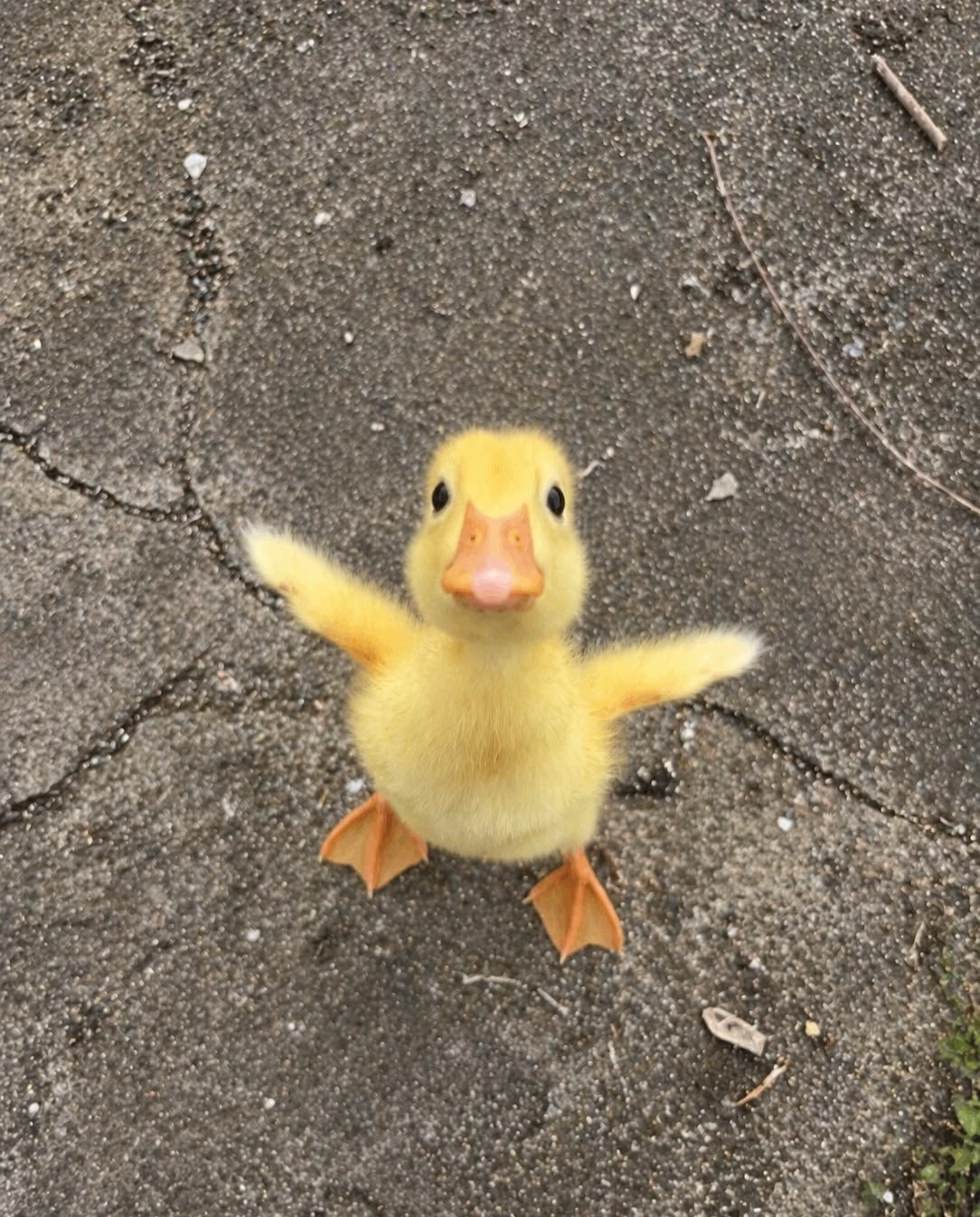 좋은 아침이에요~~