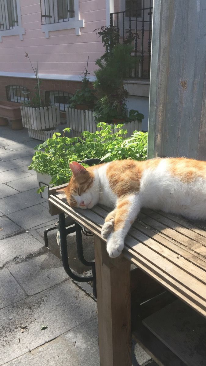 투명하고 솔직한, 겸손한방송🙇‍♂️