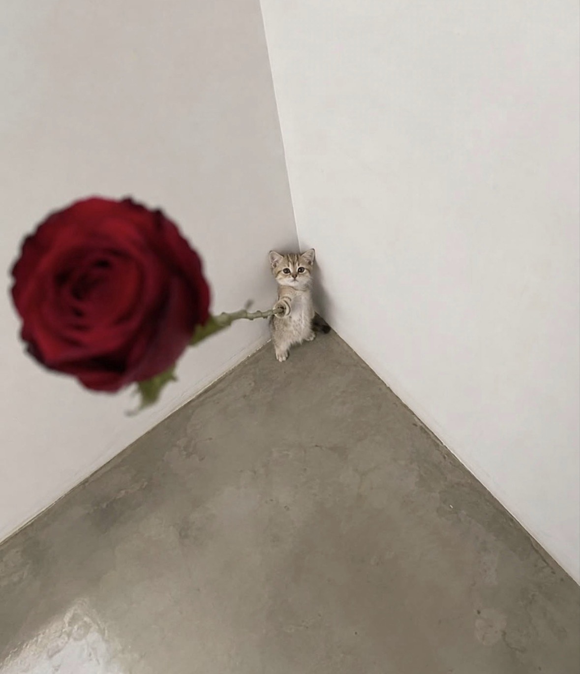 안녕 안녕 