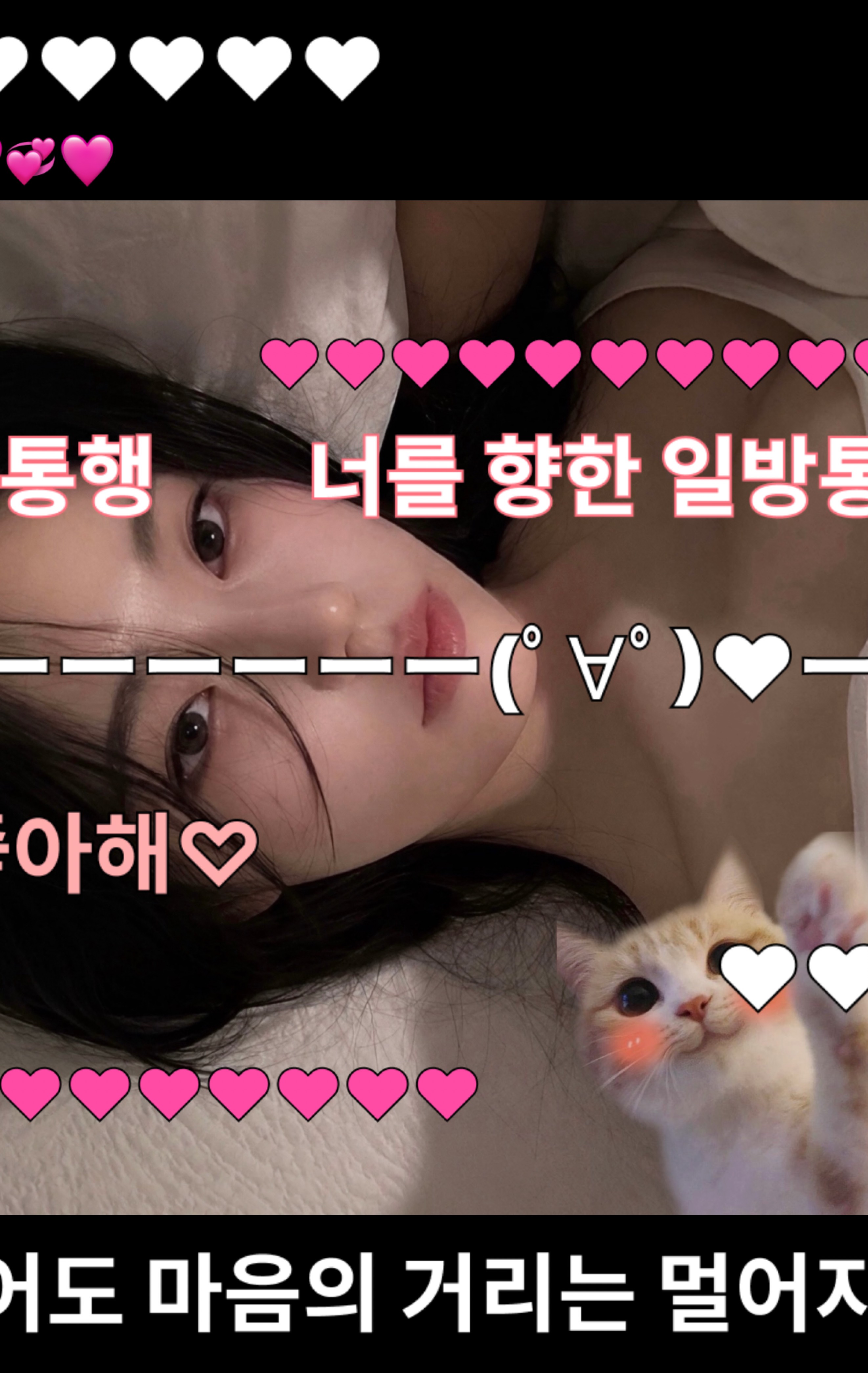 어? 눈 마주쳣다