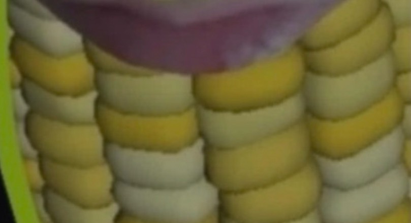 수면실