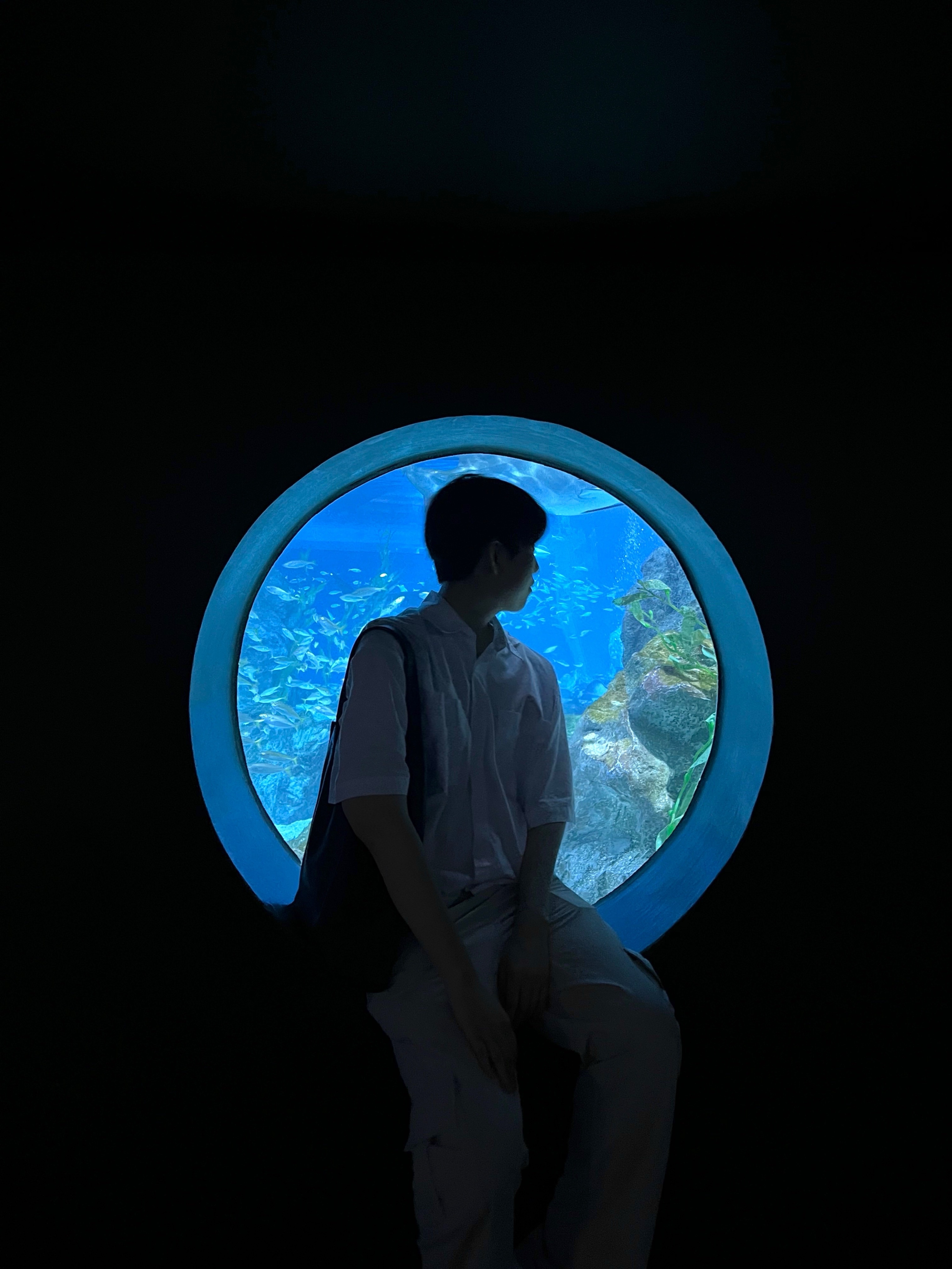 떠나,