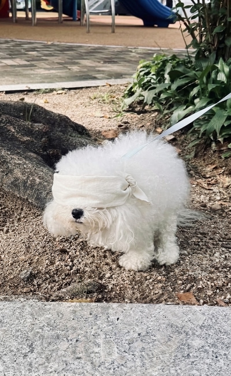 해가 떴지만 잠이 부족한가요?