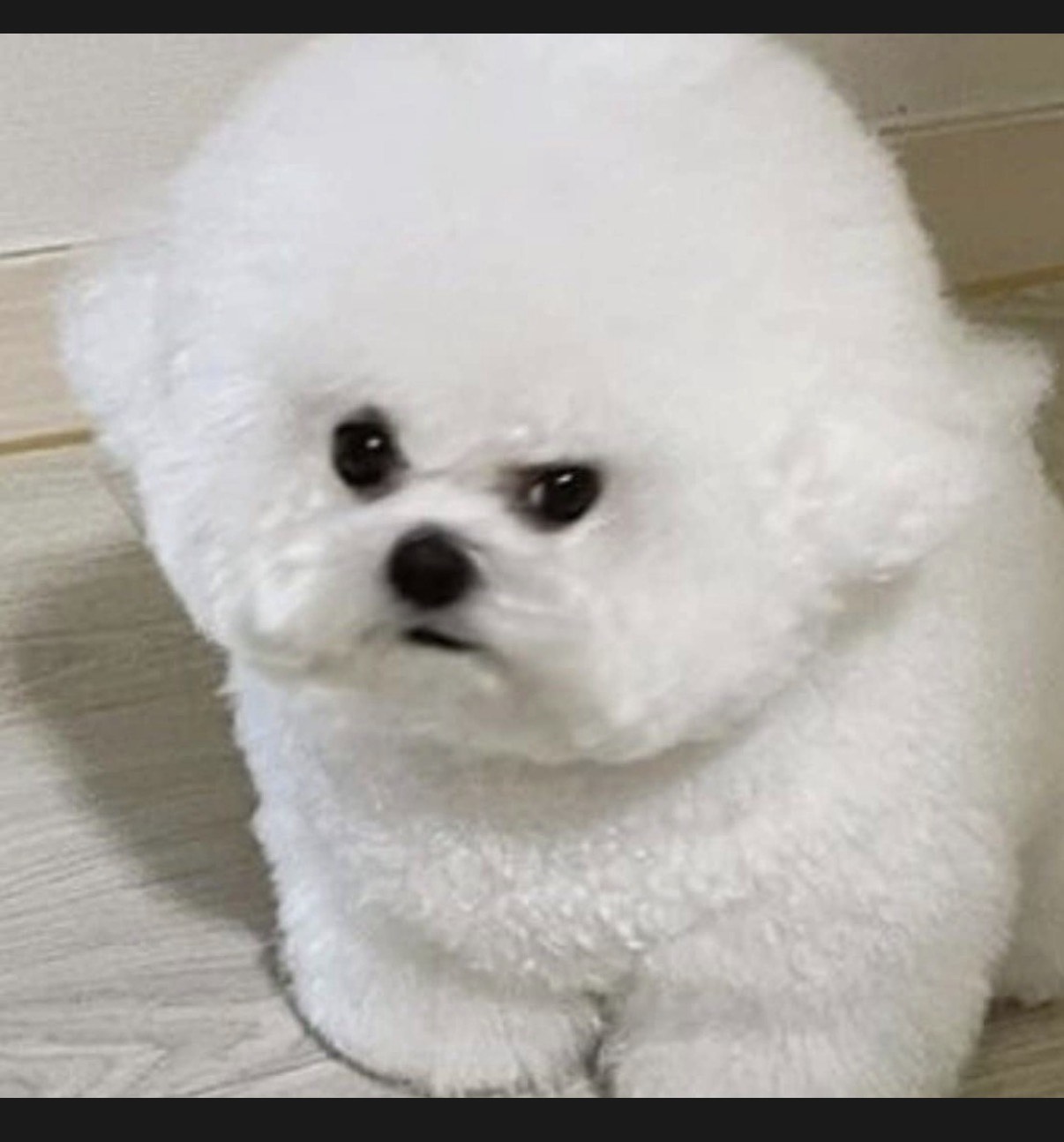 해가 떴지만 잠이 부족한가요?