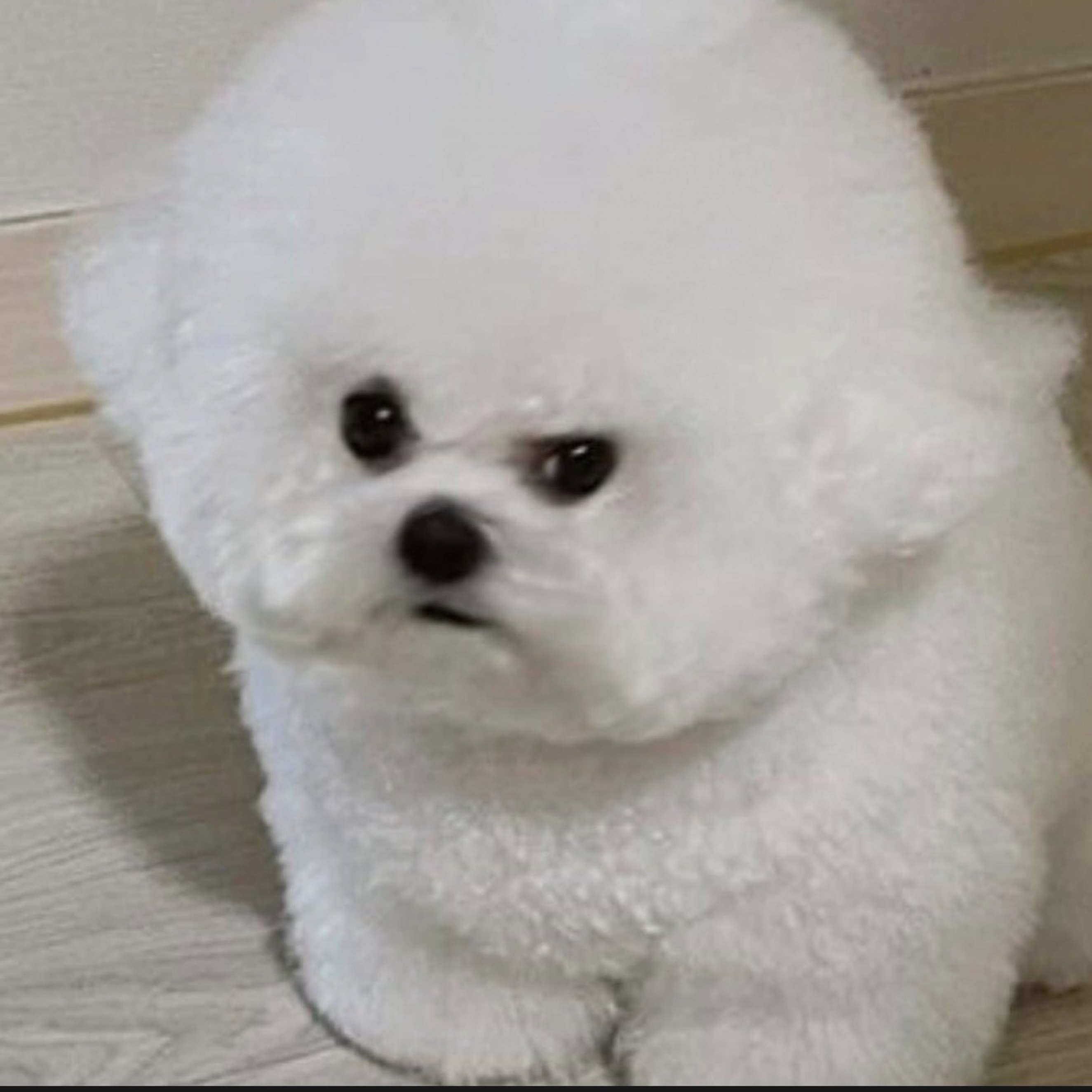 화를 풀어주세요 😭😭😭