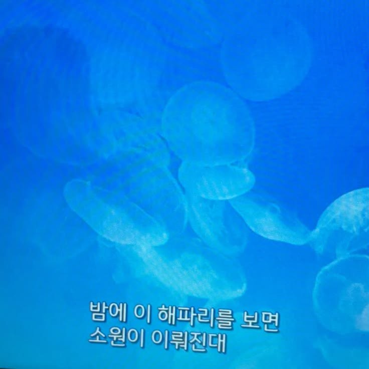 저무는 여름