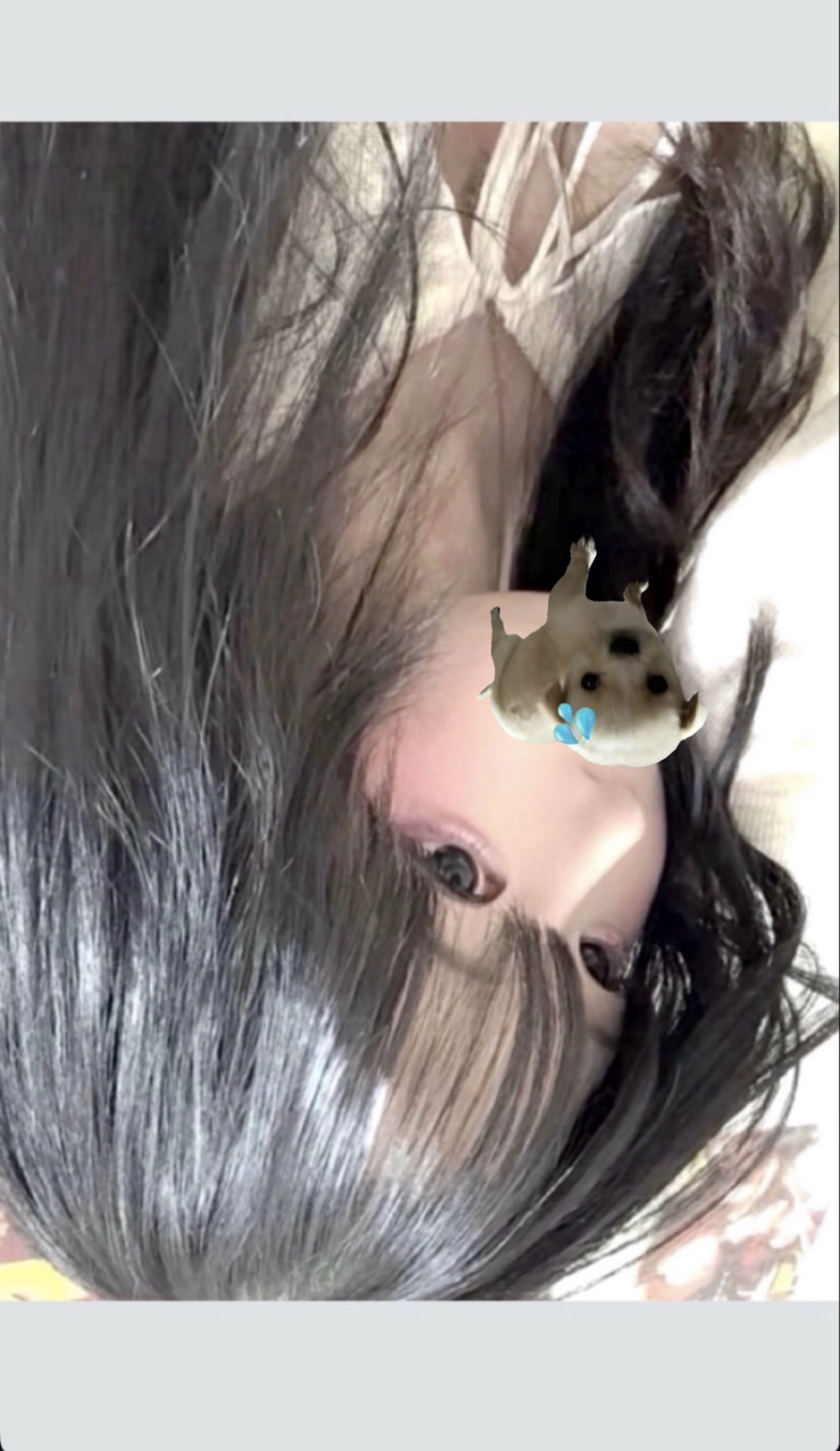 집합!!