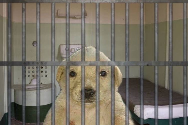 ㅇ으ㅡ으으