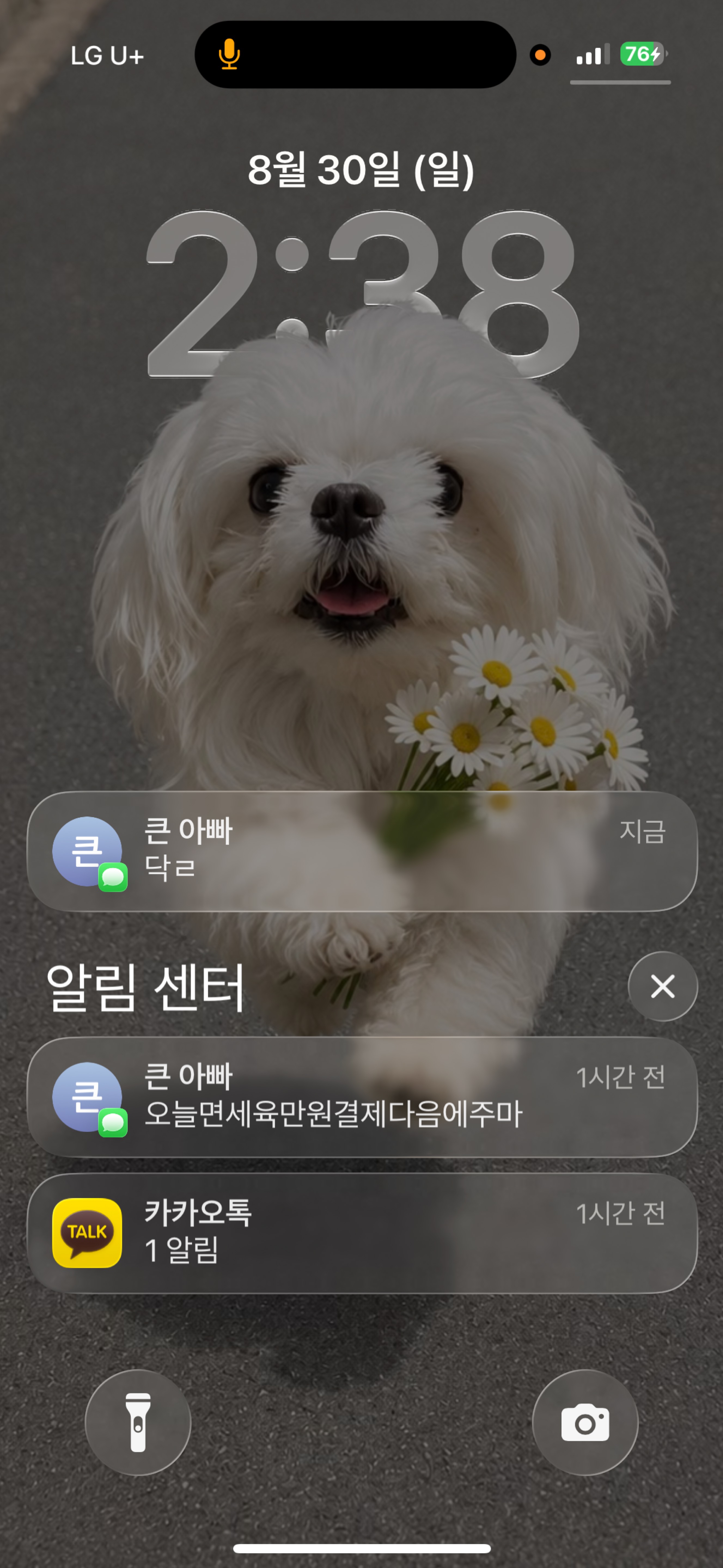 짧은 방송입니다,,,